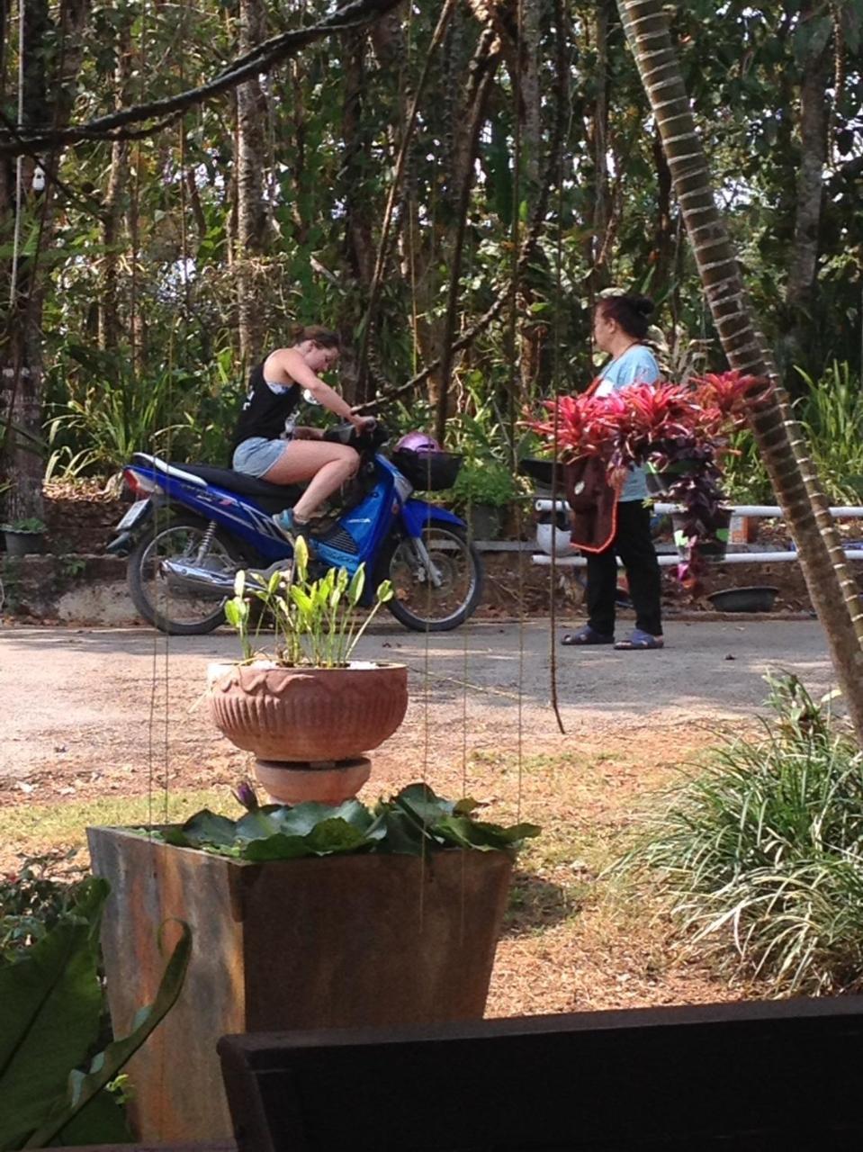 Mae Yao Resort Chiang Rai Eksteriør billede